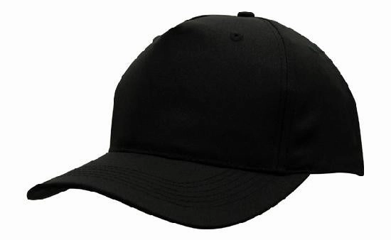 5 Panel Budget Cap