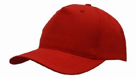 5 Panel Budget Cap