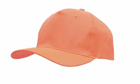 5 Panel Budget Cap