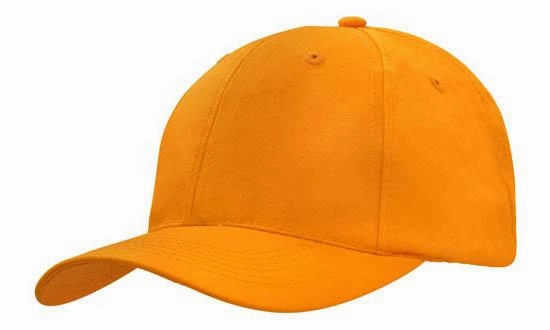 6 Panel Budget Cap - Custom Embroidered