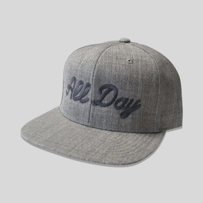 All Day Snapback in Heather/Gray