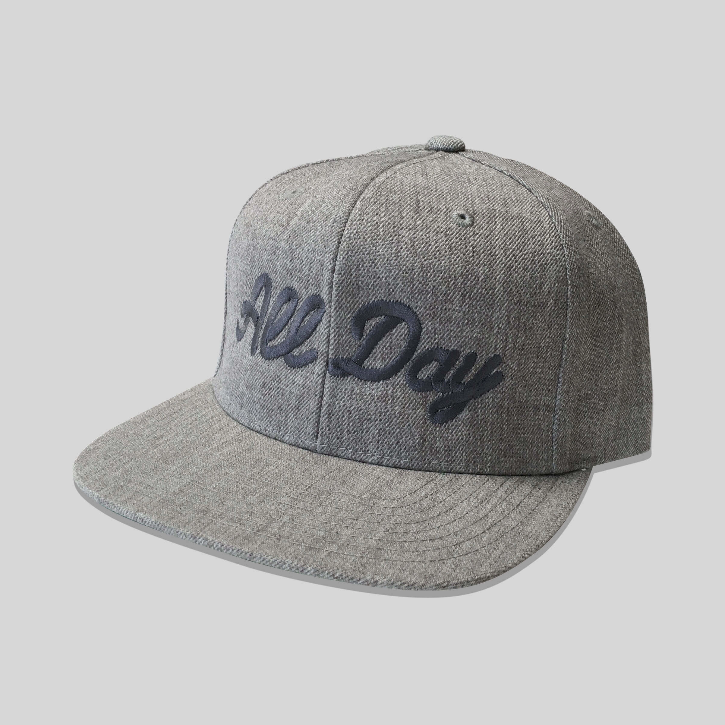 All Day Snapback in Heather/Gray
