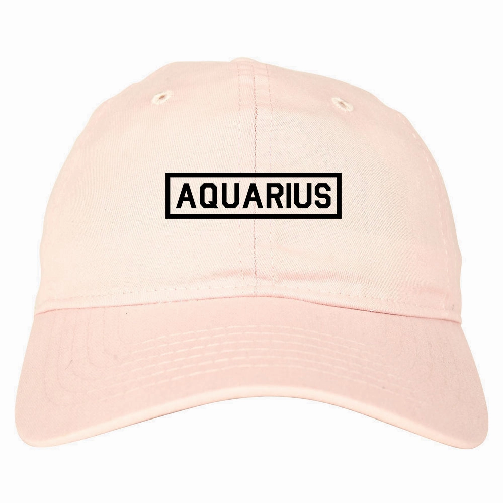 Aquarius Horoscope Sign Mens Dad Hat Baseball Cap