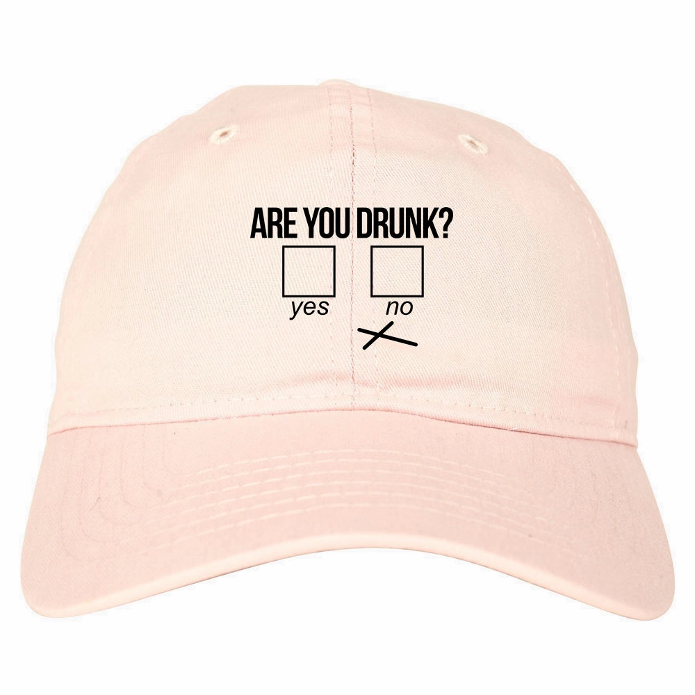 Are You Drunk Funny Beer Drinking Party Mens Dad Hat