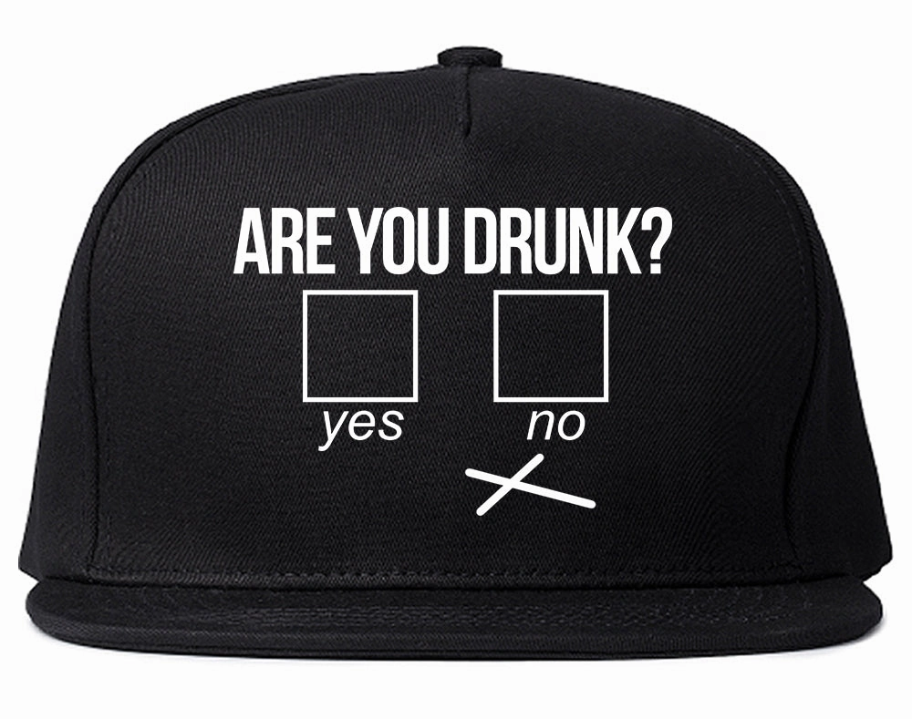 Are You Drunk Funny Beer Drinking Party Mens Snapback Hat