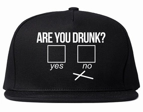Are You Drunk Funny Beer Drinking Party Mens Snapback Hat