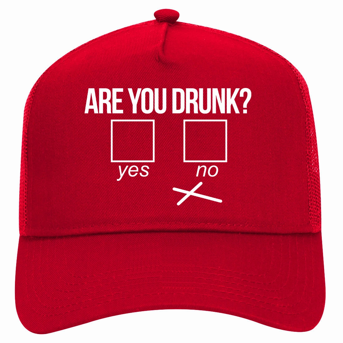 Are You Drunk Funny Beer Drinking Party Retro Adult 5 Panel Mesh Trucker Hat
