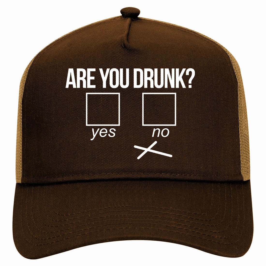 Are You Drunk Funny Beer Drinking Party Retro Adult 5 Panel Mesh Trucker Hat