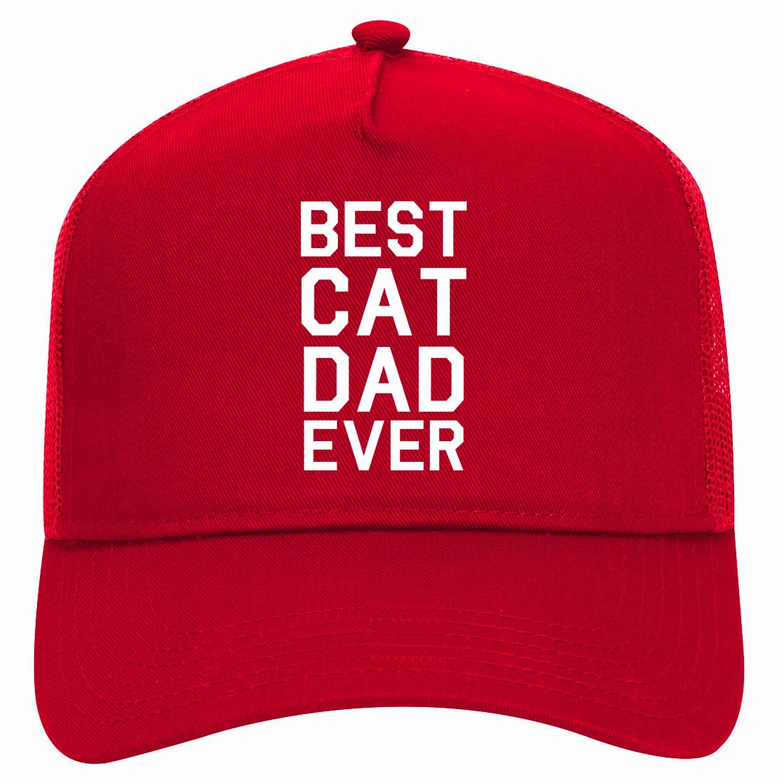 Best Cat Dad Ever Retro Adult 5 Panel Mesh Trucker Hat