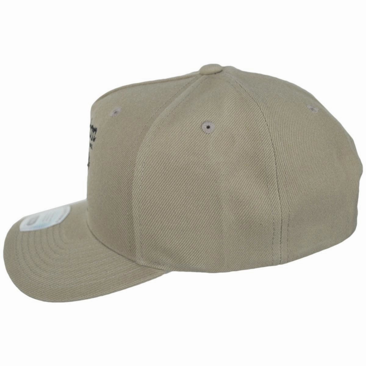 Charging Buffalo Netplus MP Snapback Baseball Cap