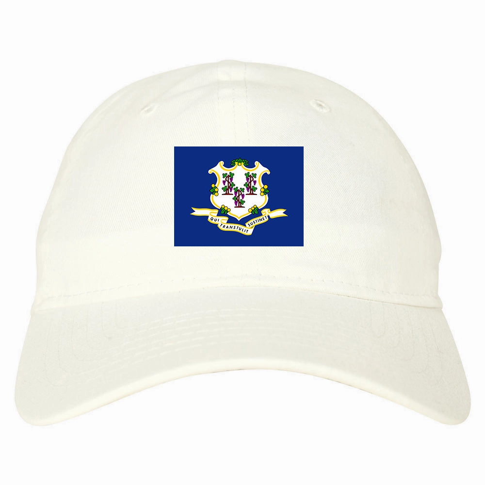 Connecticut State Flag CT Chest Mens Dad Hat