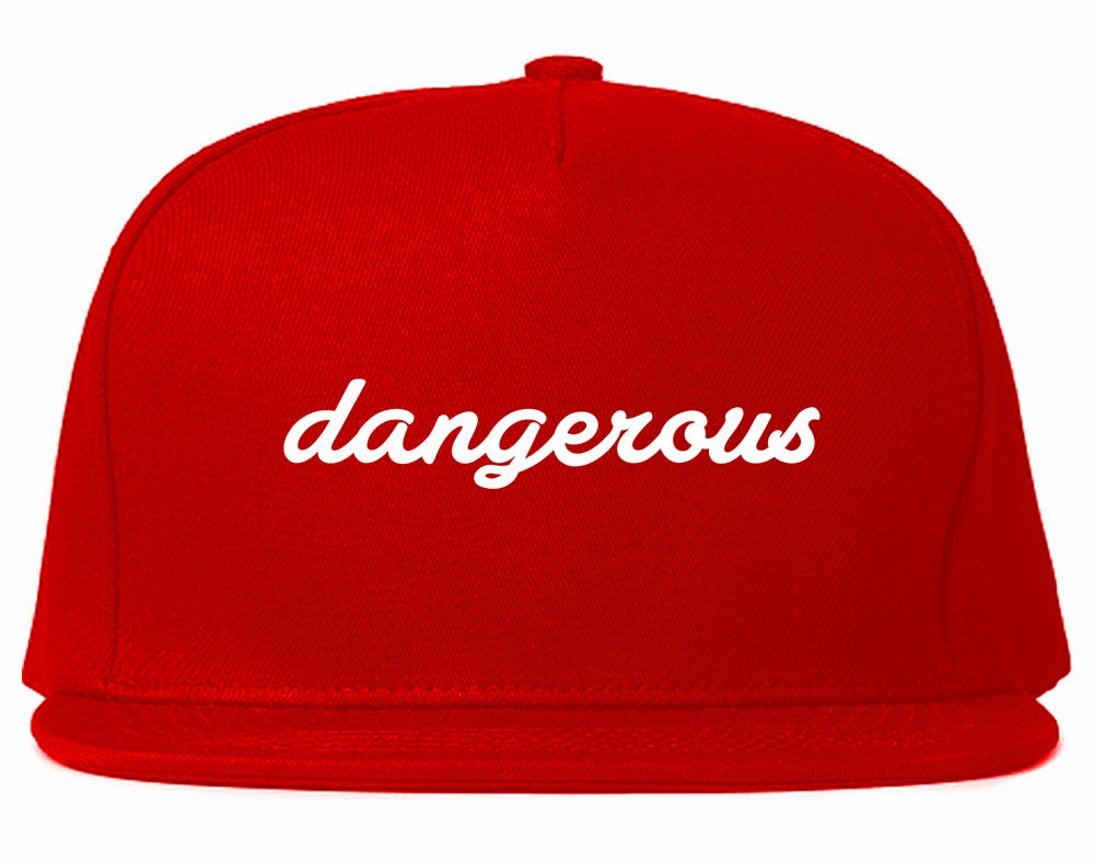 Dangerous Script Mens Snapback Hat
