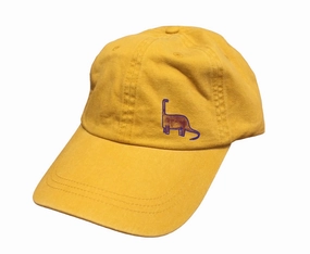 Dino Cap
