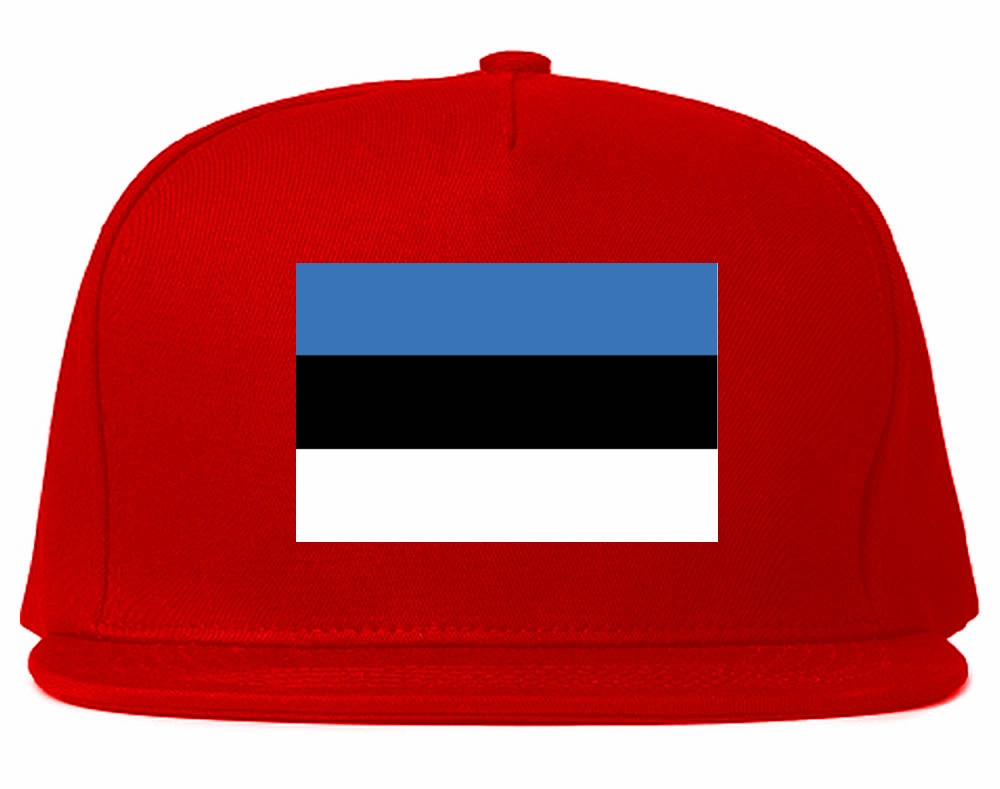 Estonia Flag Country Printed Snapback Hat Cap