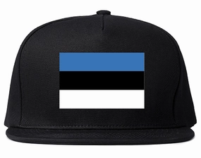 Estonia Flag Country Printed Snapback Hat Cap