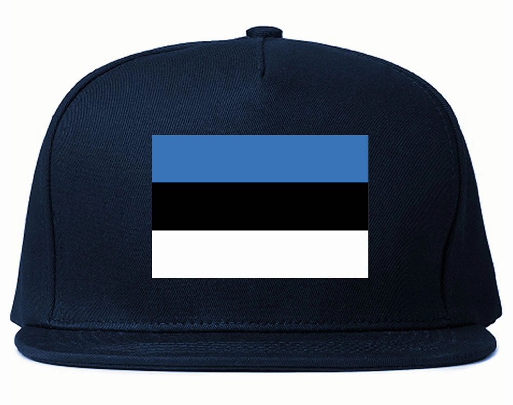 Estonia Flag Country Printed Snapback Hat Cap