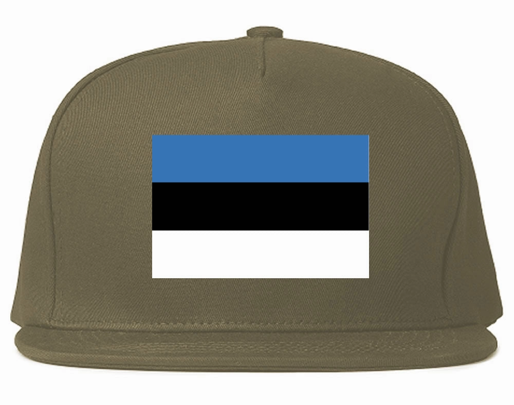 Estonia Flag Country Printed Snapback Hat Cap