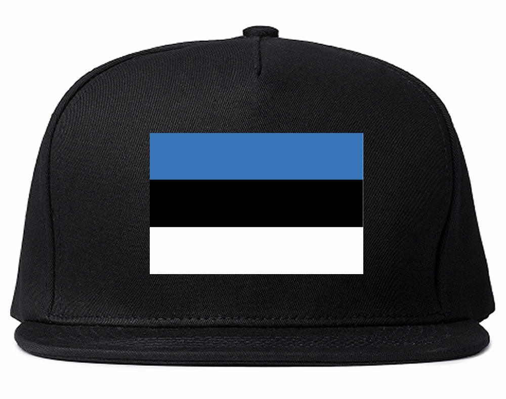 Estonia Flag Country Printed Snapback Hat Cap