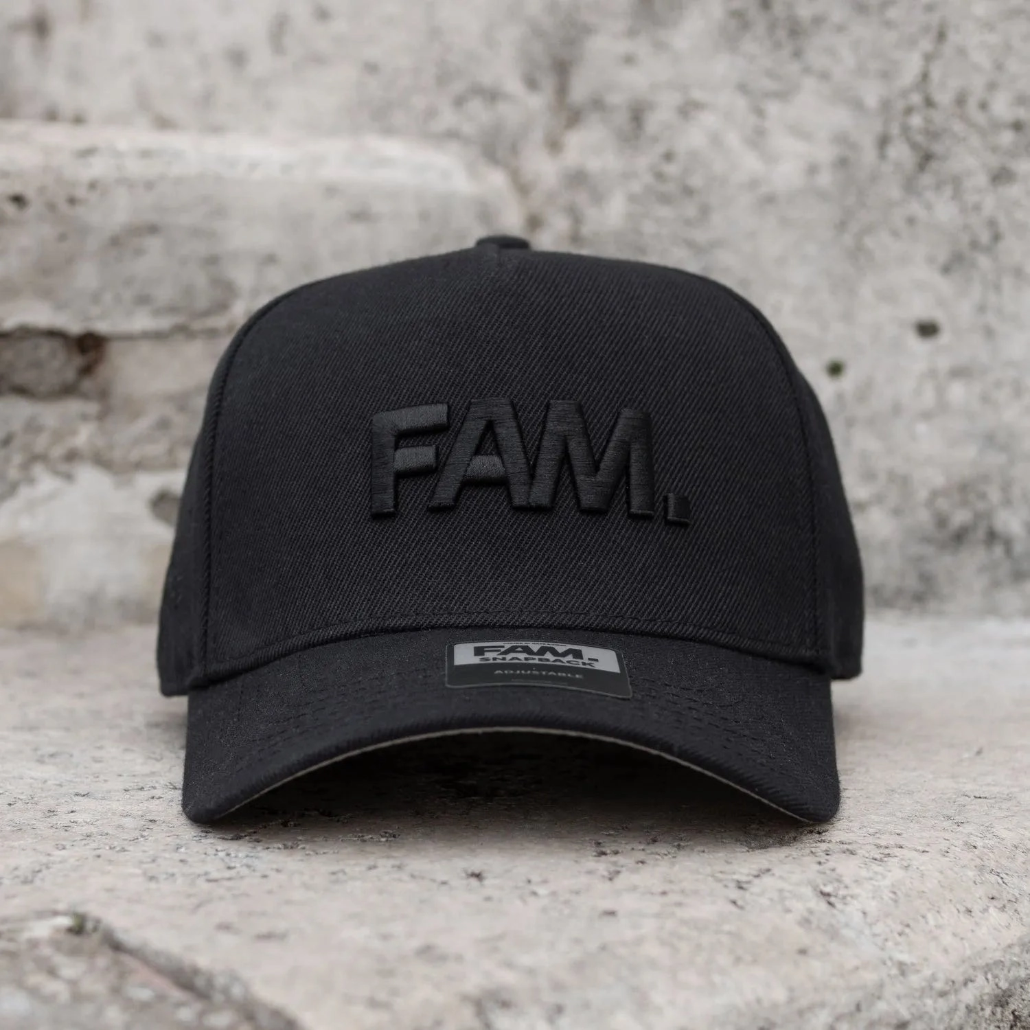 FAM.CAP CORE BLACK ON BLACK SNAPBACK /GREY UV