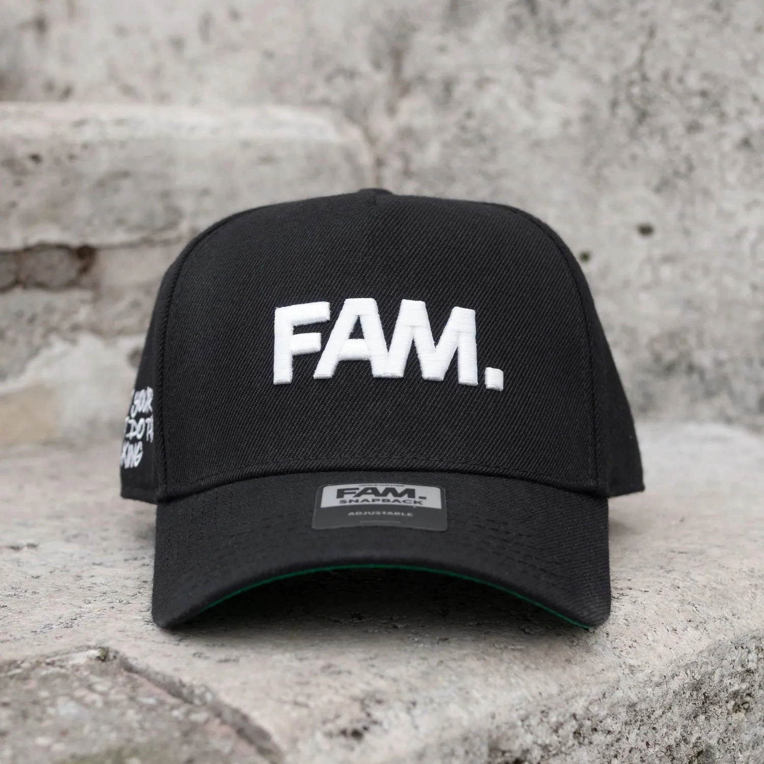 FAM.CAP CORE BLACK SNAPBACK /GREEN UV
