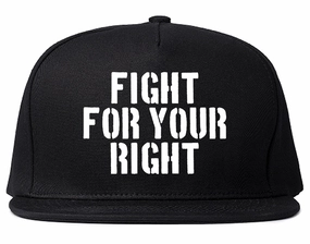 Fight For Your Right Mens Snapback Hat