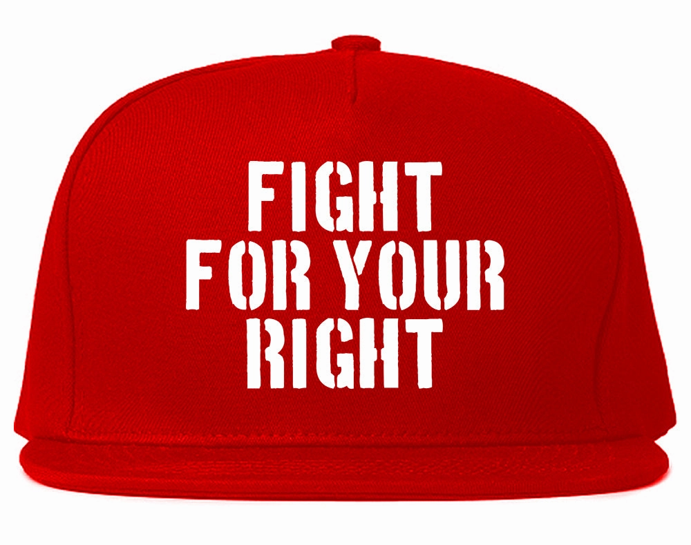 Fight For Your Right Mens Snapback Hat