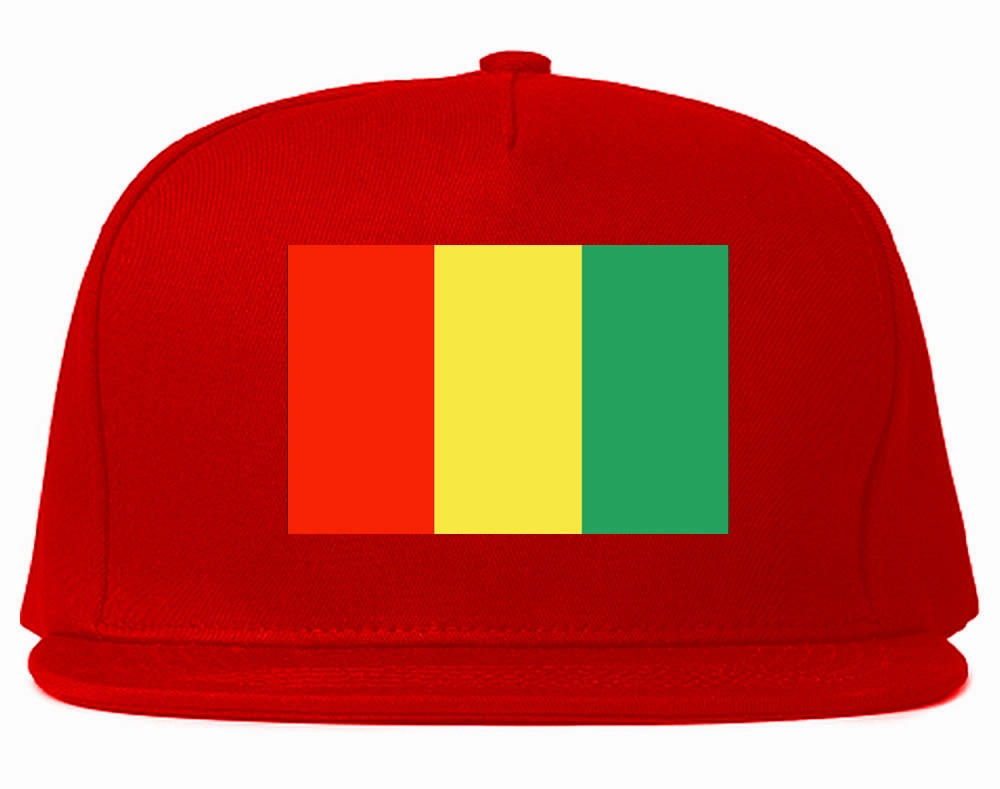 Guinea Flag Country Printed Snapback Hat Cap