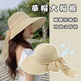 Korean Wide Brim Straw Hat