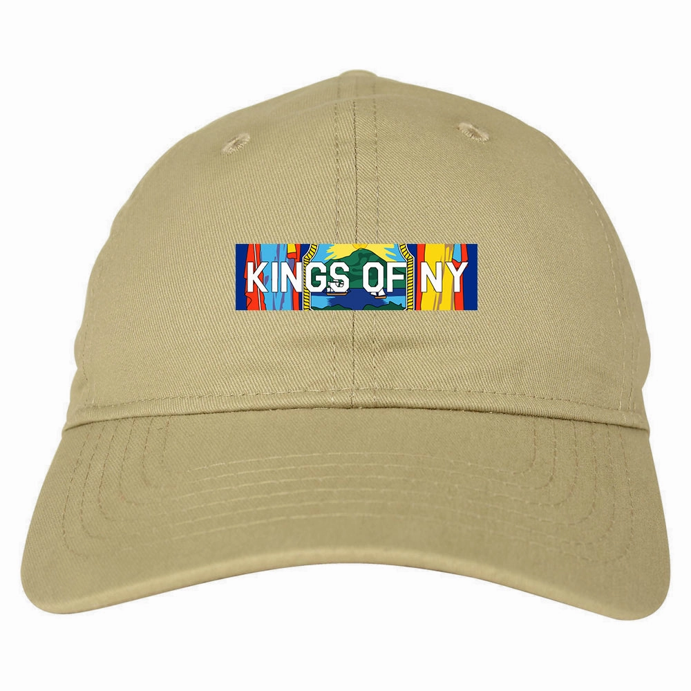 New York Flag Box Logo Mens Dad Hat
