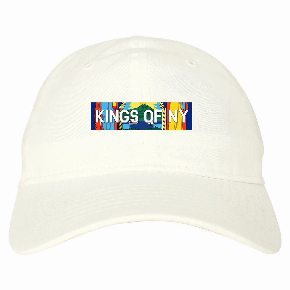 New York Flag Box Logo Mens Dad Hat