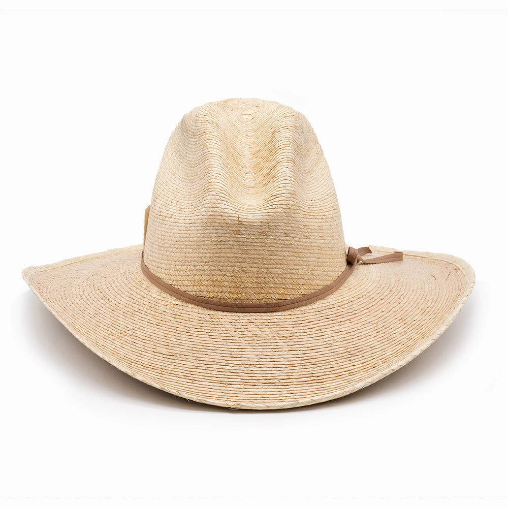 PALM MEXICAN HAT