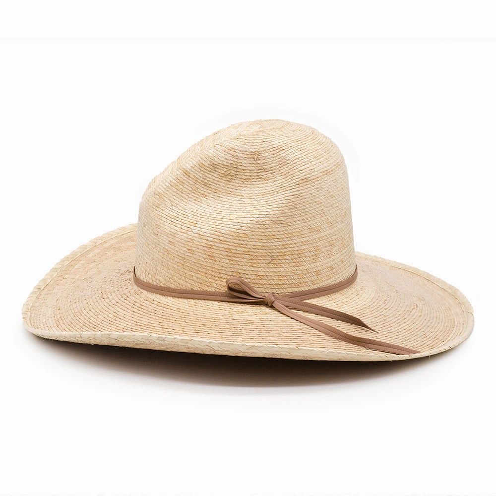PALM MEXICAN HAT