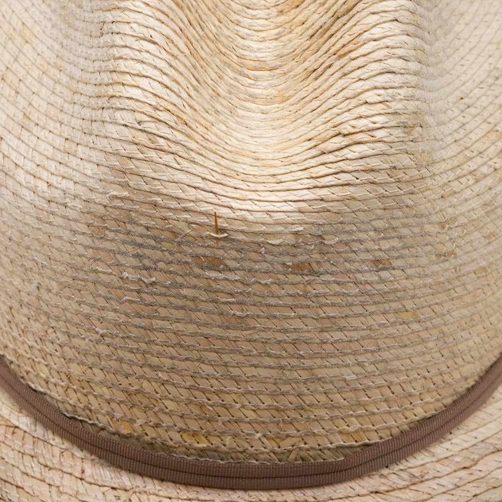 PALM MEXICAN HAT