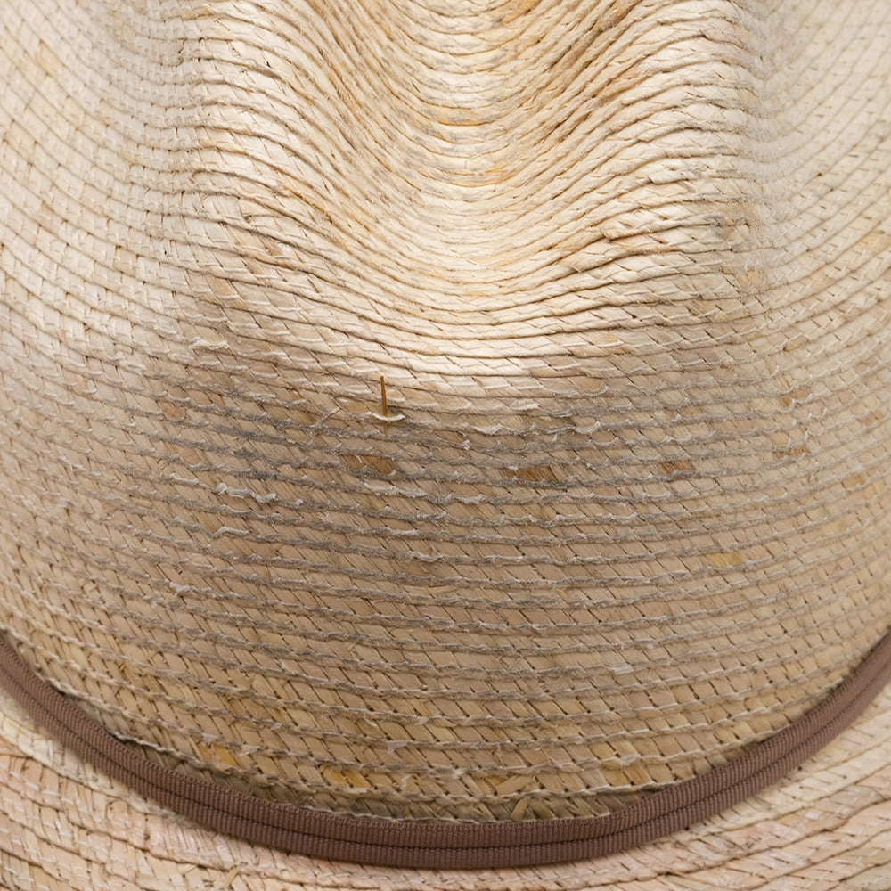 PALM MEXICAN HAT
