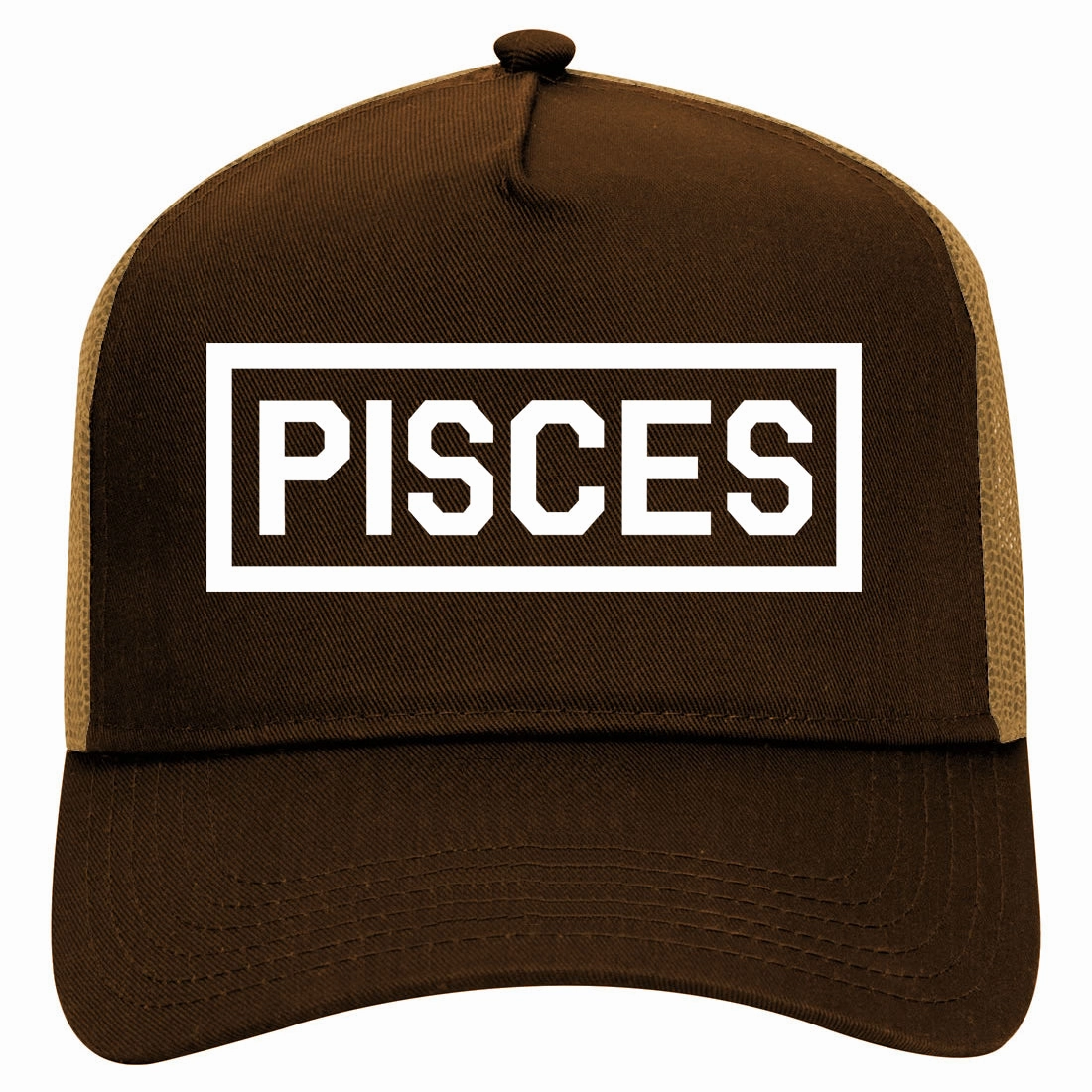 Pisces Horoscope Sign Retro Adult 5 Panel Mesh Trucker Hat