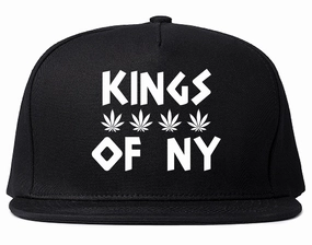 Puff Puff Pass Mens Snapback Hat