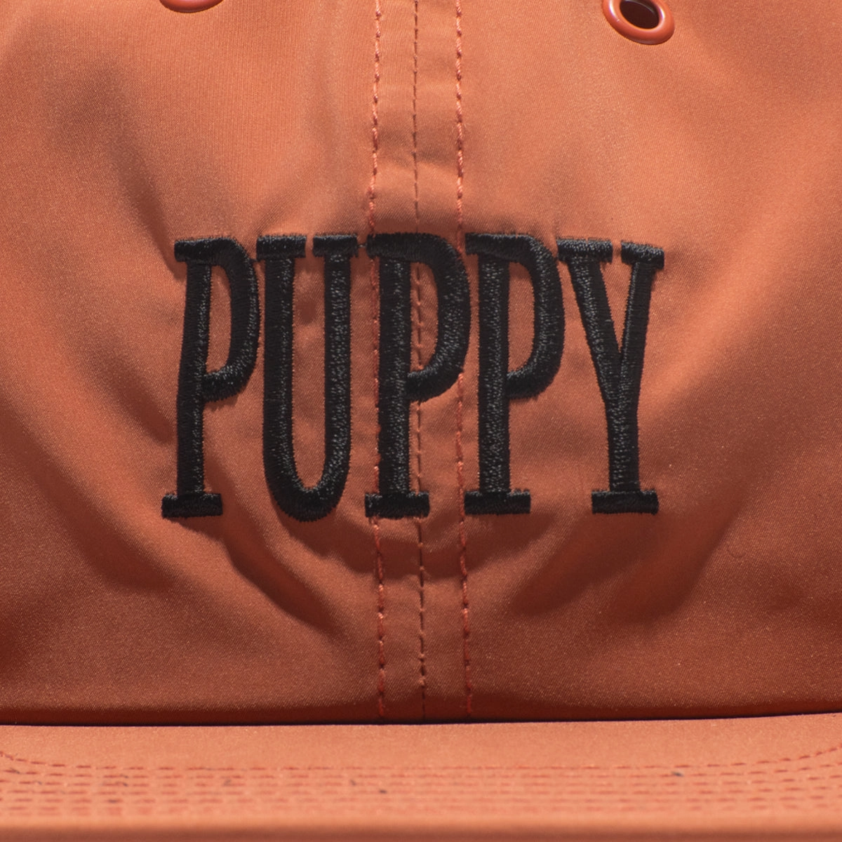PUPPY SKATE CAP - Orange