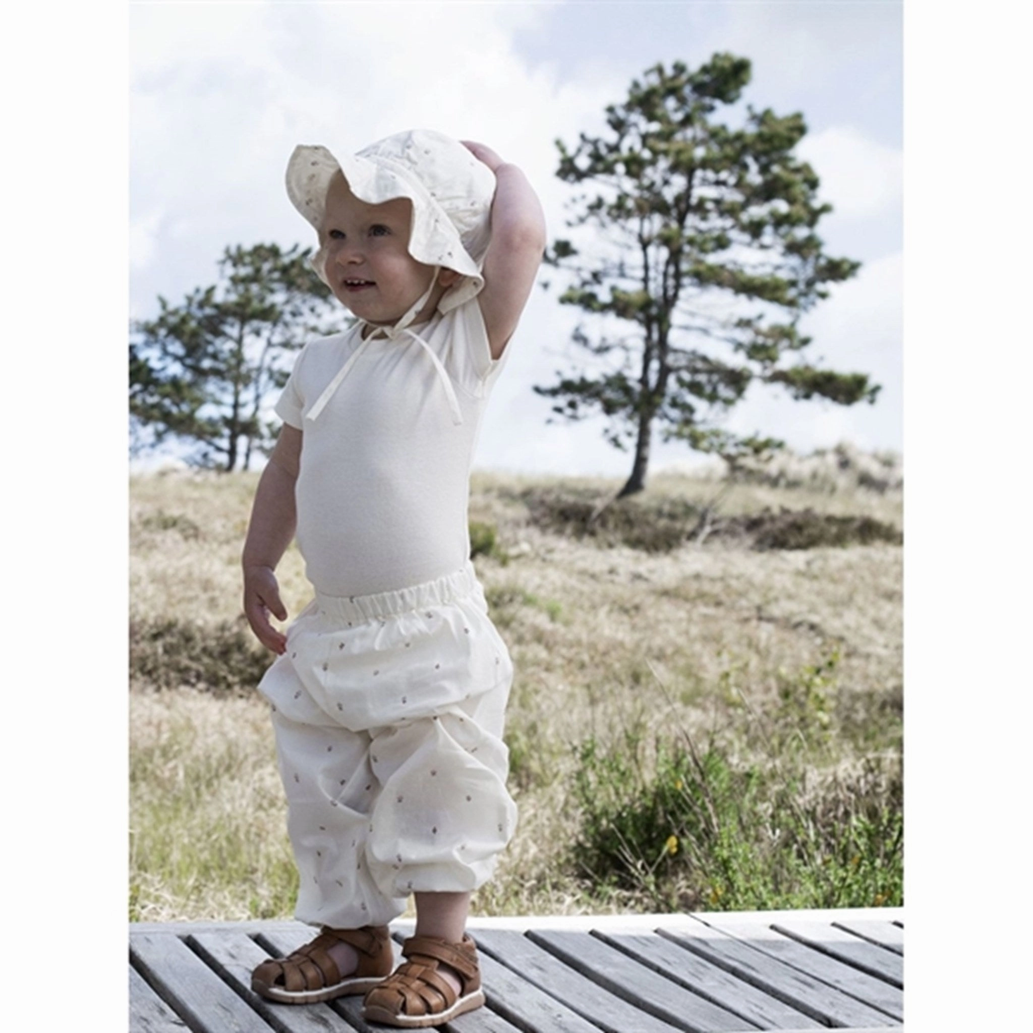 Serendipity Aster Sunhat