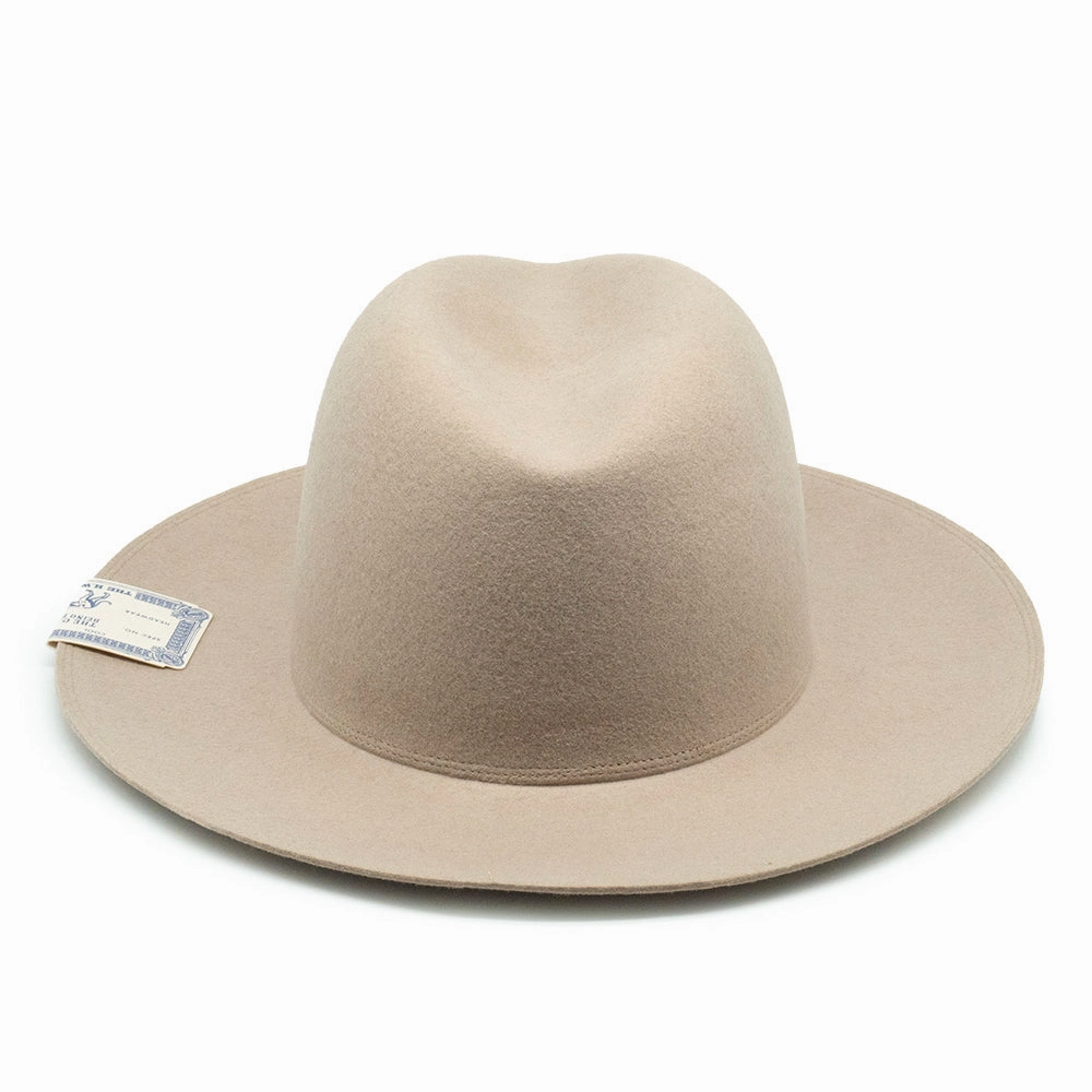 TRAVELERS HAT