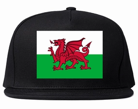 Wales Flag Country Chest Mens Snapback Hat