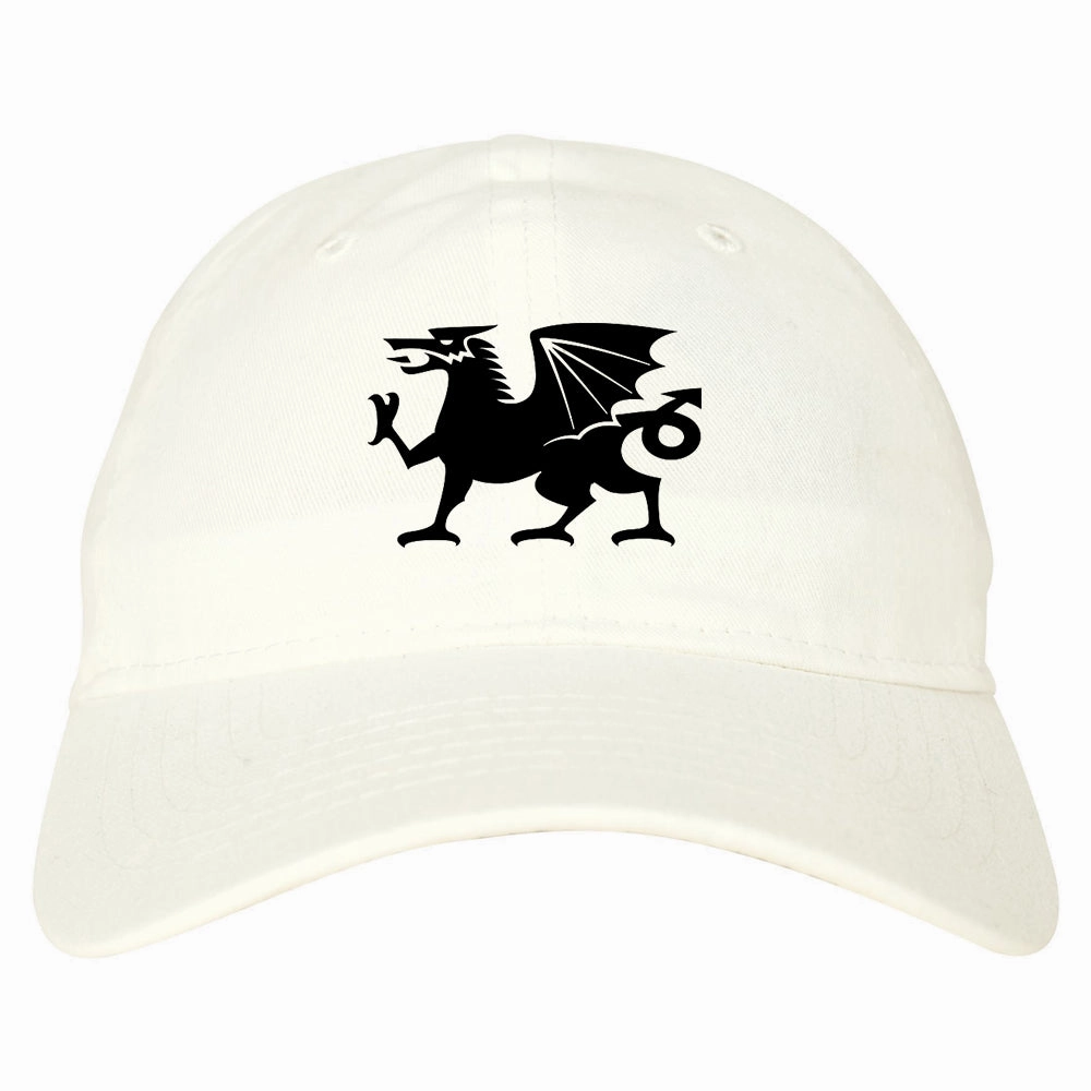 Wales Flag Dragon Symbol Mens Dad Hat Baseball Cap