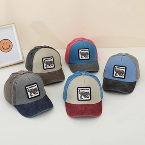 Wholesale Colorblock Dinosaur Kids Baseball Cap