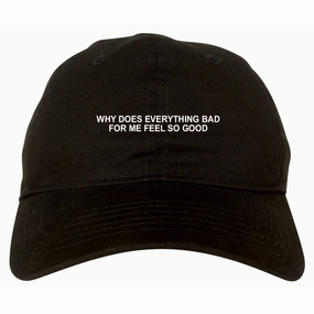 Why Does Everything Bad For Me Feel So Good Mens Dad Hat Baseball Cap
