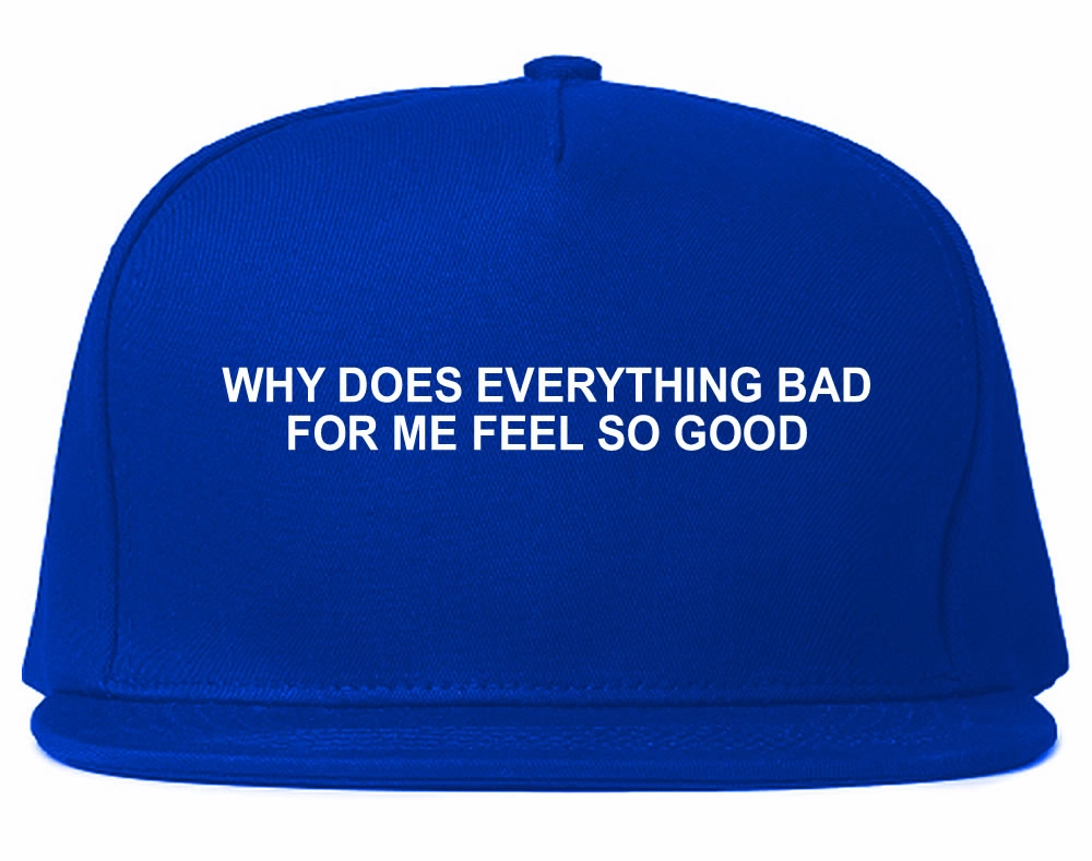 Why Does Everything Bad For Me Feel So Good Mens Snapback Hat Cap