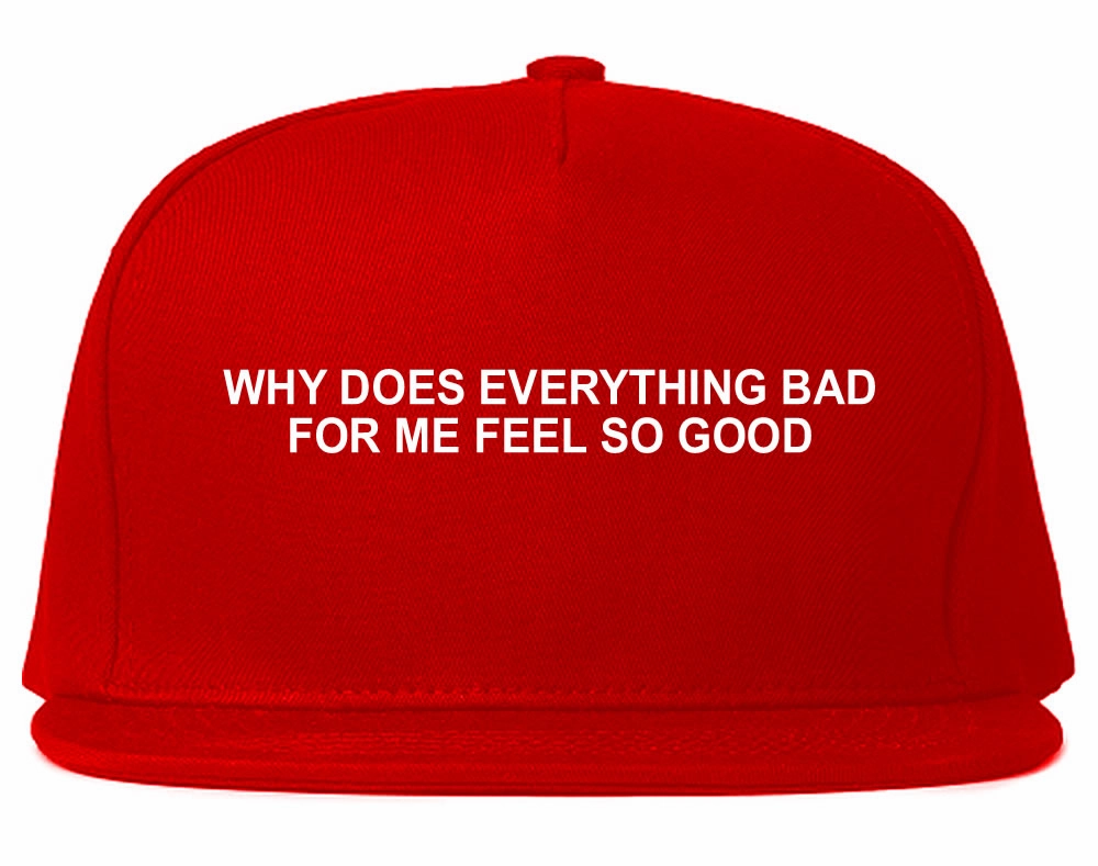 Why Does Everything Bad For Me Feel So Good Mens Snapback Hat Cap
