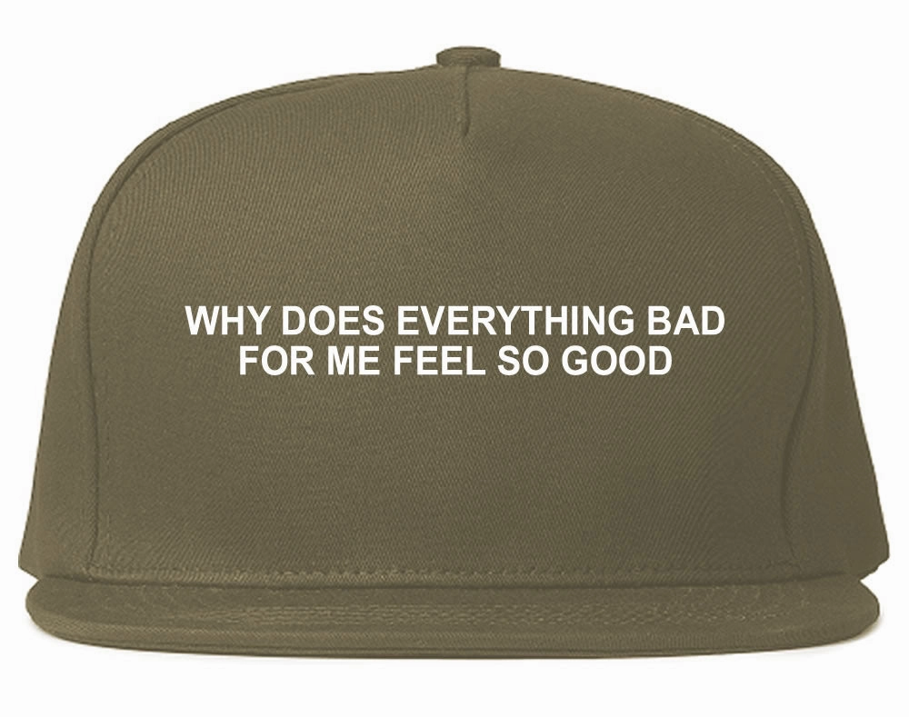 Why Does Everything Bad For Me Feel So Good Mens Snapback Hat Cap