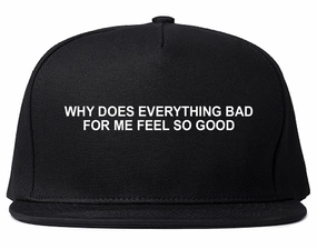 Why Does Everything Bad For Me Feel So Good Mens Snapback Hat Cap